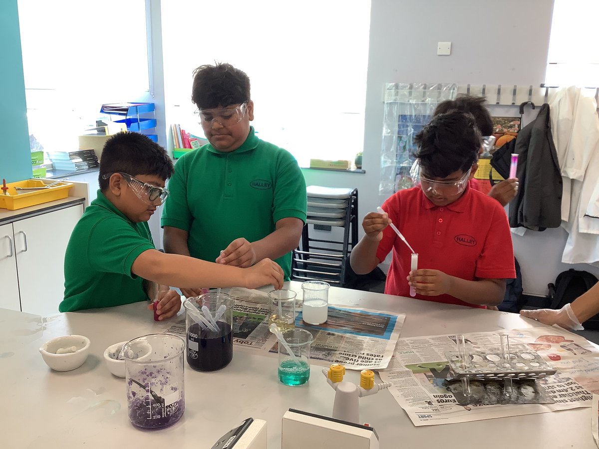 Halley Year5 tweet media