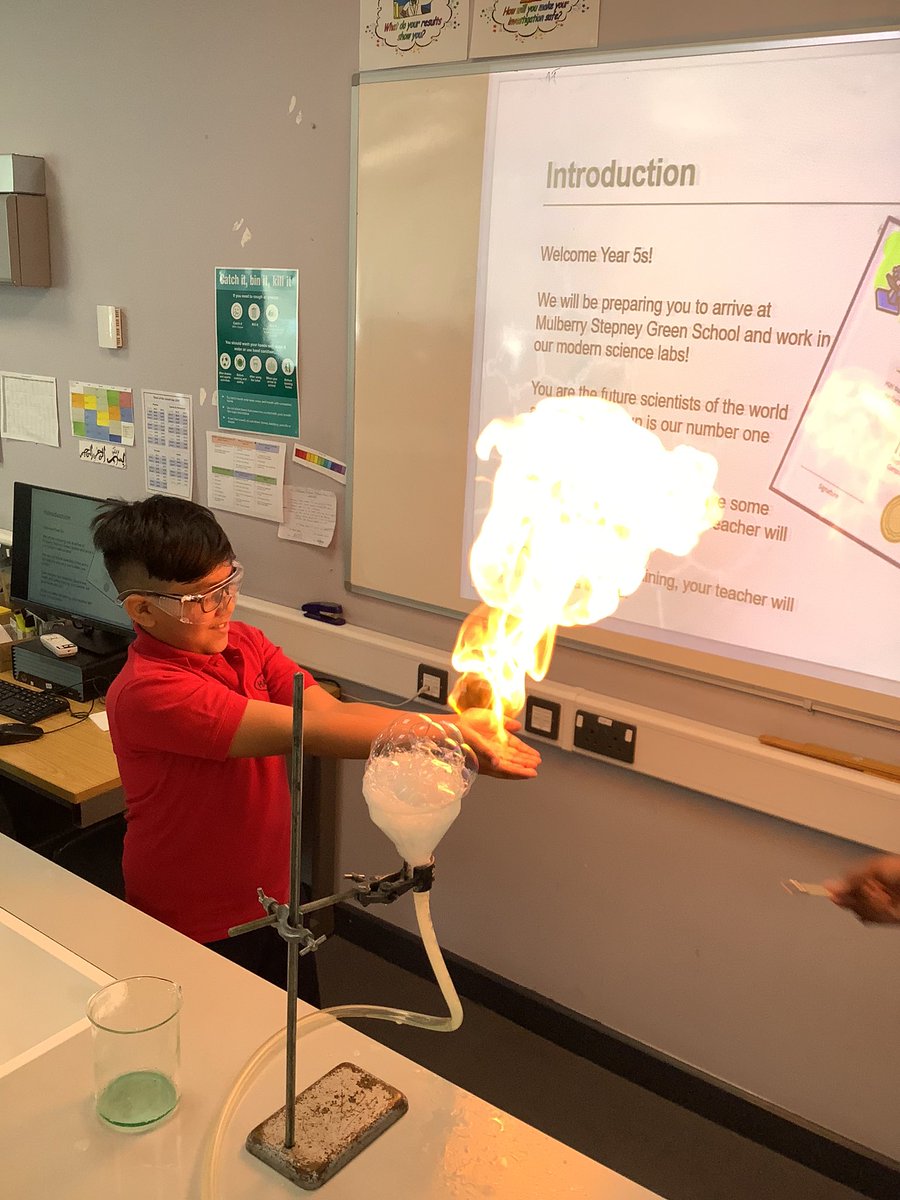 Halley Year5 tweet media