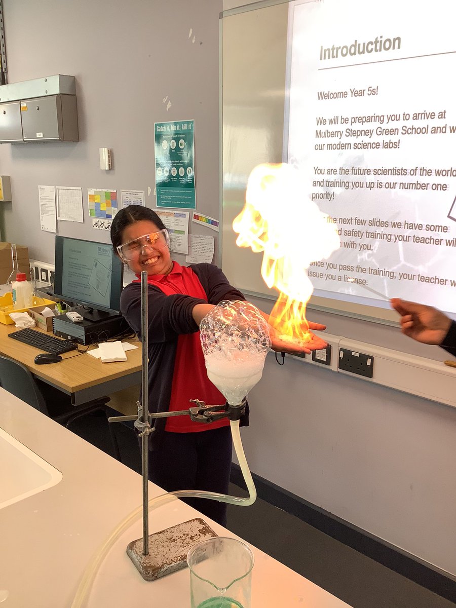 Halley Year5 tweet media