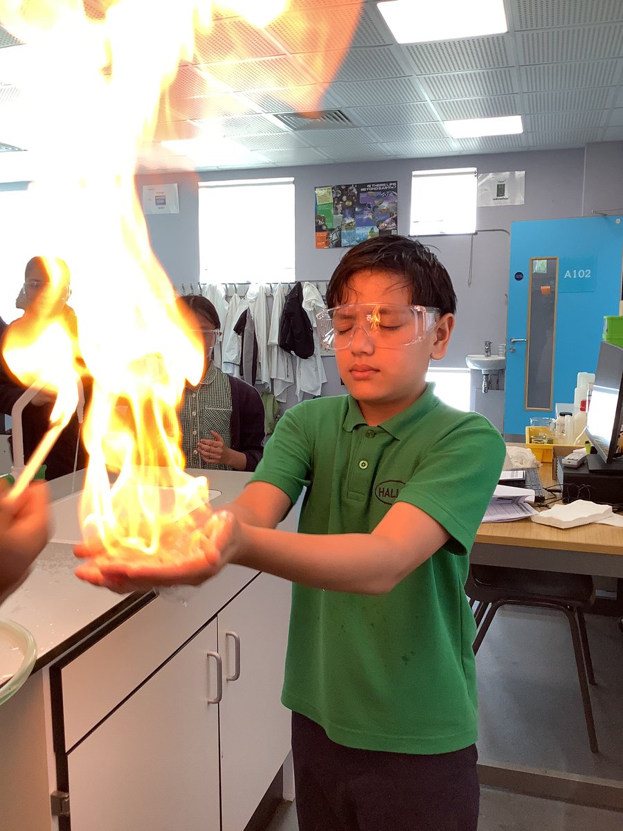 Halley Year5 tweet media