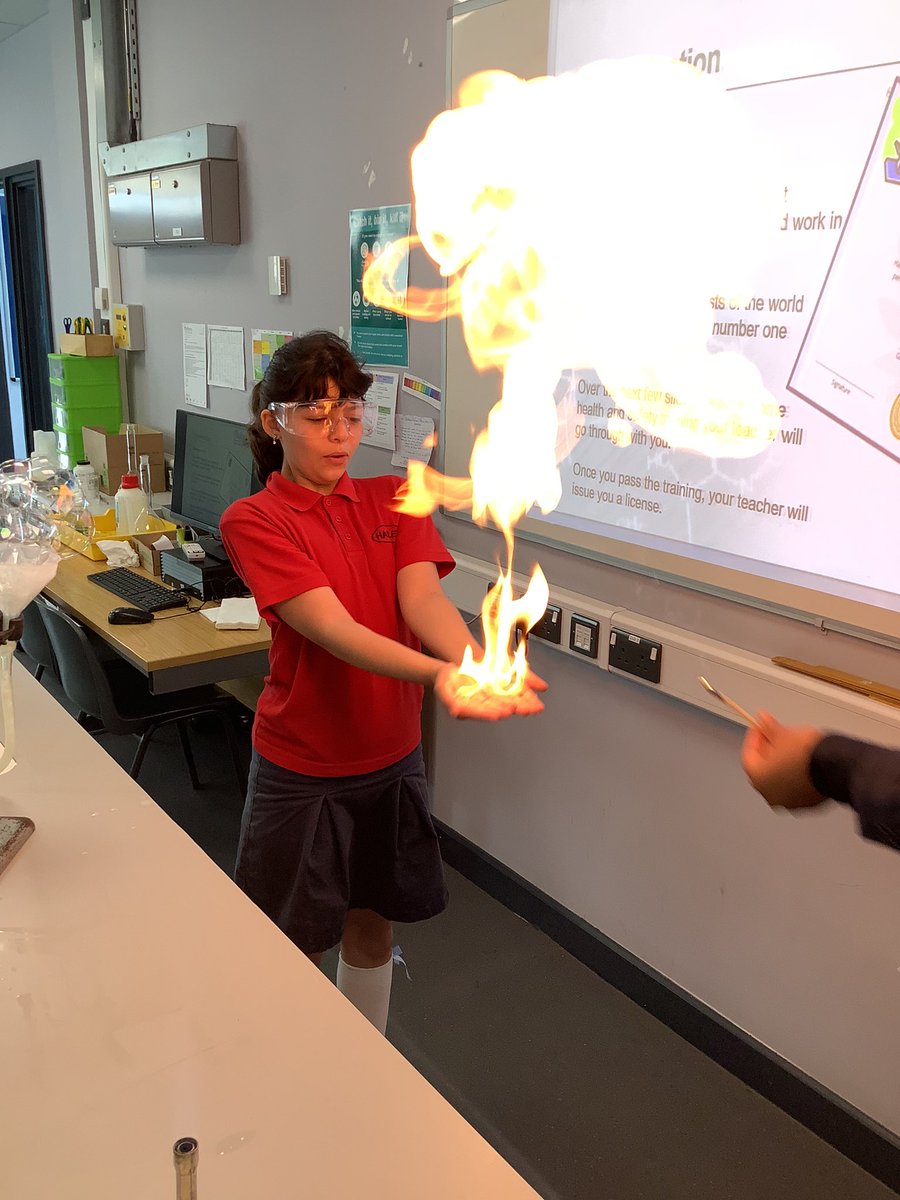 Halley Year5 tweet media