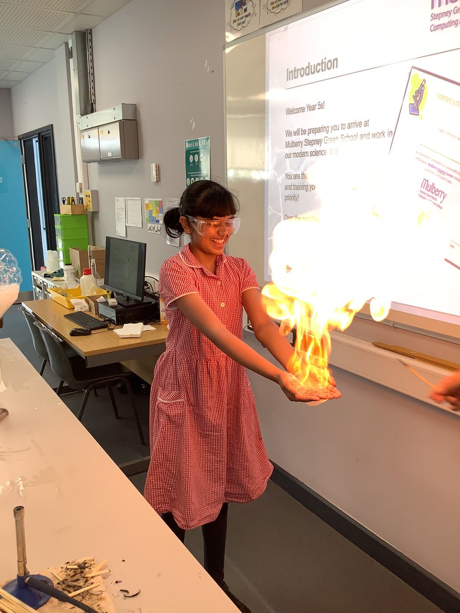 Halley Year5 tweet media