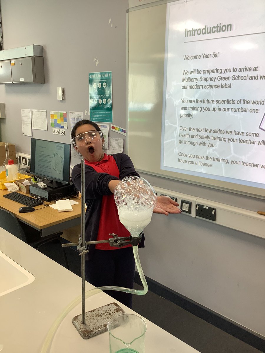 Halley Year5 tweet media