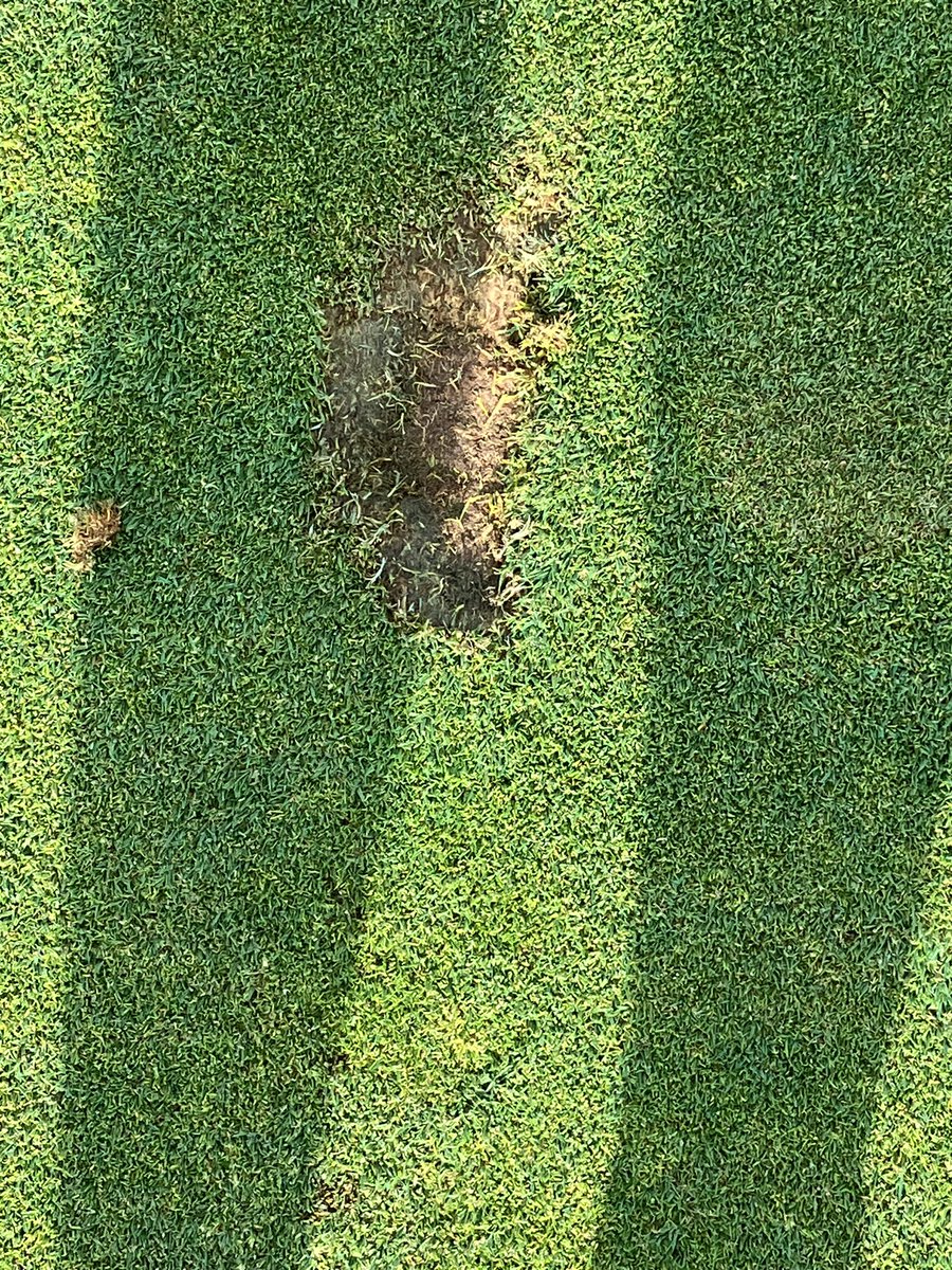 First Asshole of the year. The night before our biggest day of the year and on 5 greens. My staff and I wish you a summer of long Covid.