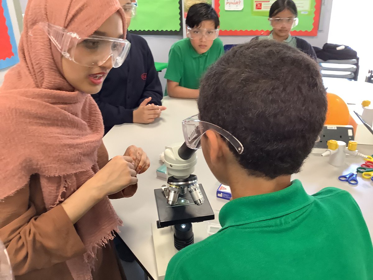 Halley Year5 tweet media