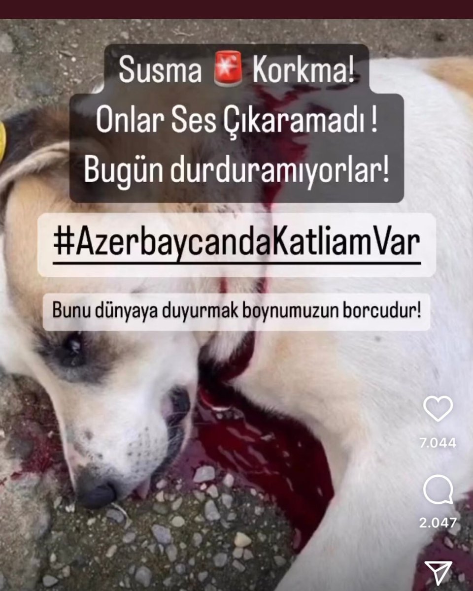 #azerbaycandakatliamvar ses ver