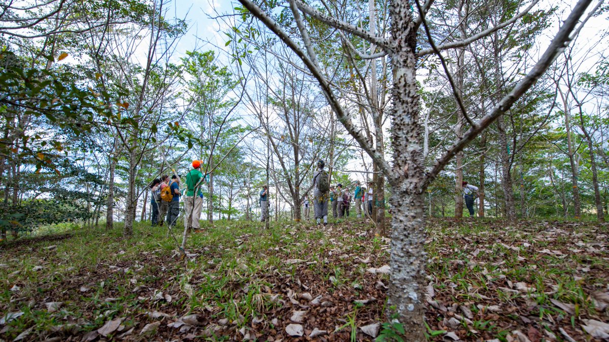 Smithsonian WLS tweet media