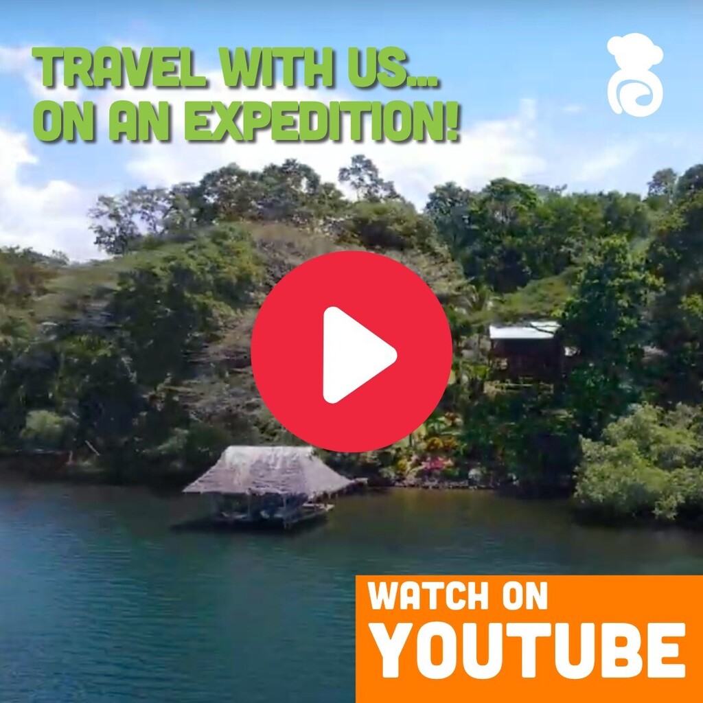 Have you seen our video on Environmental Expeditions with Gary, our founder? You'll want to TRAVEL WITH US... youtube.com/watch?v=cmFwnE… LINK IN BIO

#bocasdeltoro 
#MiAmbiente 
#expedition 
#ecotravel 
#greentourism
#panama 
#bepartofthesolution 
#dolphin… instagr.am/p/Ctyx3FdNL6I/