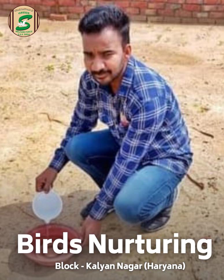 Birds too feel the summer heat! Shah Satnam Ji Green 'S' Welfare Force Wing volunteers are doing their part to help our feathered friends stay cool and hydrated. Join the cause! #NurturingBirds #SaveBirds #SummerCare #DeraSachaSauda