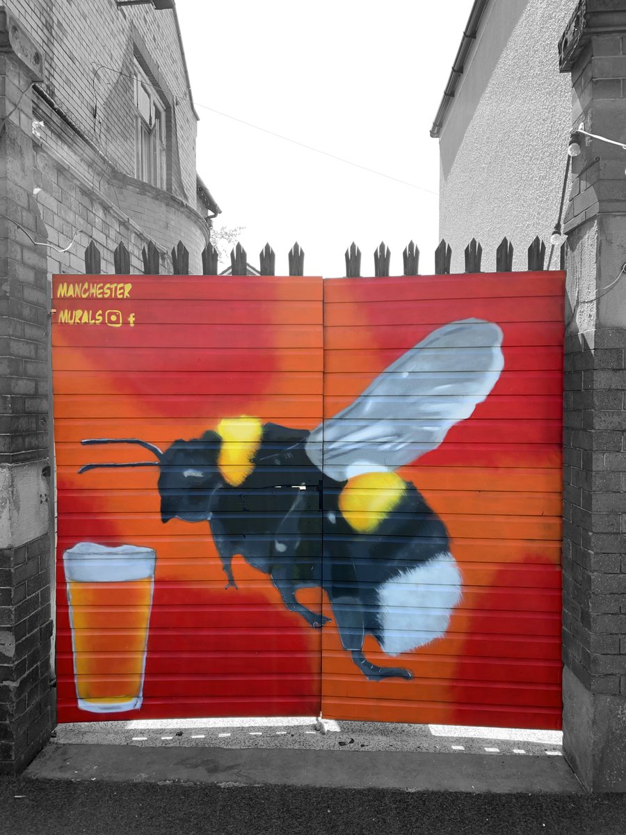 MCRMurals's tweet photo. Manchester Bee(r)

@OfficialWhiteSwanSwinton

#manchesterbees #manchesterbee #manchesterbeer #manchestermurals #art #artmanchester #muralmanchester #mural #spraycanart #muralart #muralartistmanchester #muralpainting #manchesterart #manchesterstreetart #manchesterartist https://t.co/Lf7m5KxaSq