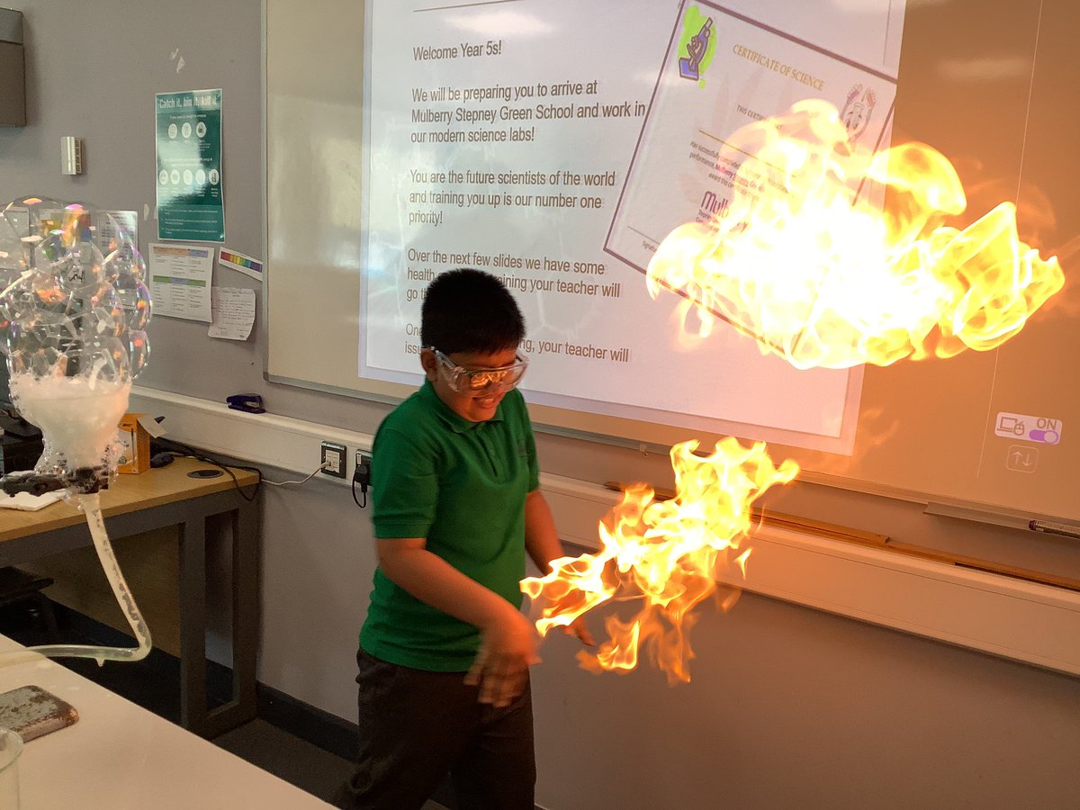 Halley Year5 tweet media