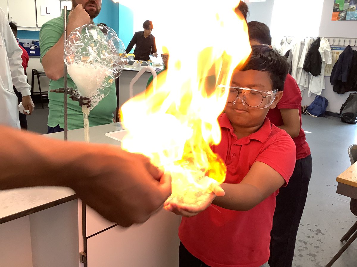 Halley Year5 tweet media