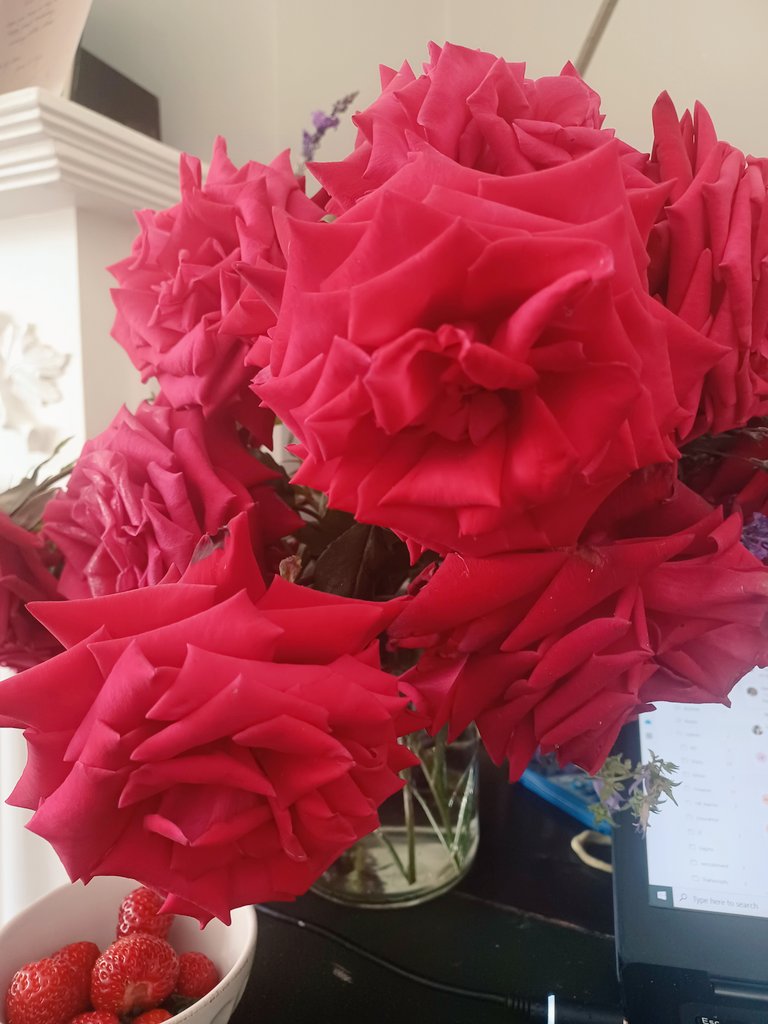 EKJohnson11's tweet photo. More delights from Tommie's garden 🌹🍓 https://t.co/AAeZGLQOhe