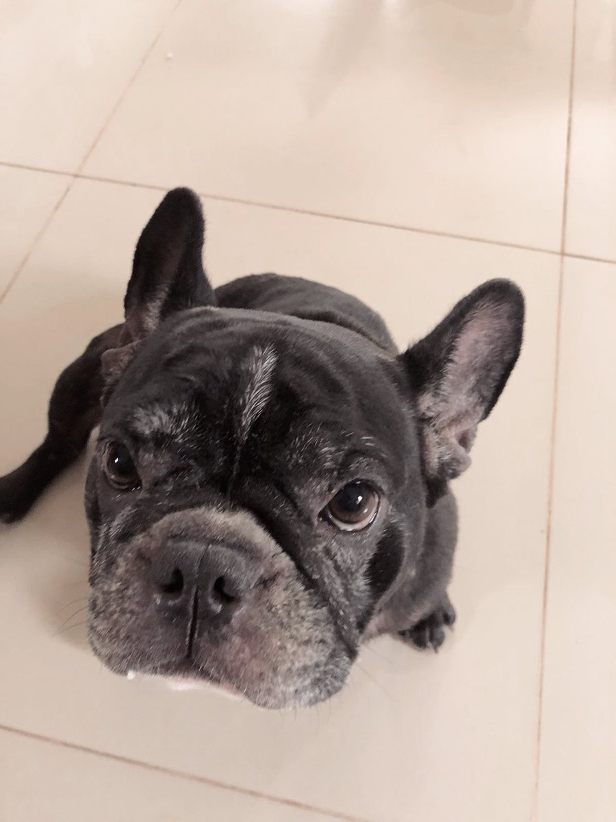 la más hermosaa