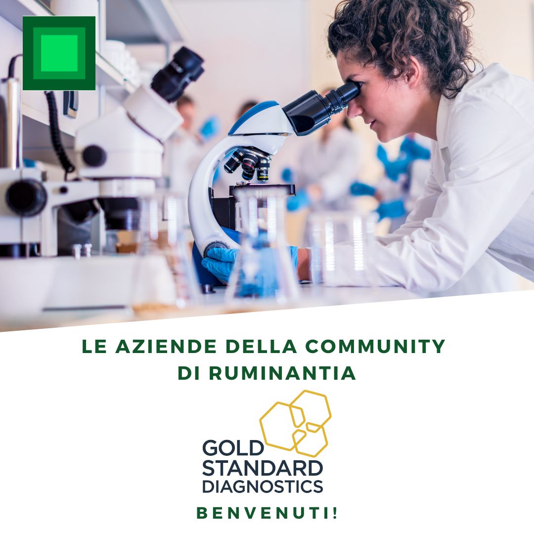 😍 Oggi conosciamo meglio #GoldStandardDiagnosticsTrieste che da quasi 30 anni fornisce alla filiera alimentare e #mangimistica strumenti e kit innovativi per la rilevazione di #micotossine, #farmaciveterinari, #OGM e molto altro.

Per info 👉 ruminantia.it/gold-standard-…