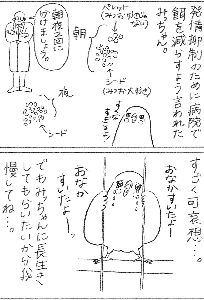 みっちゃん絵日記(1/2) 