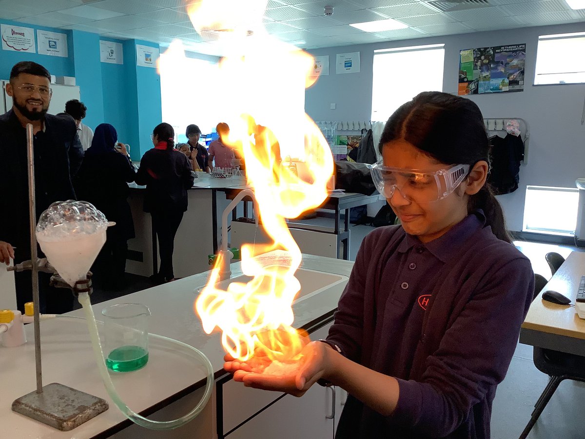 Halley Year5 tweet media