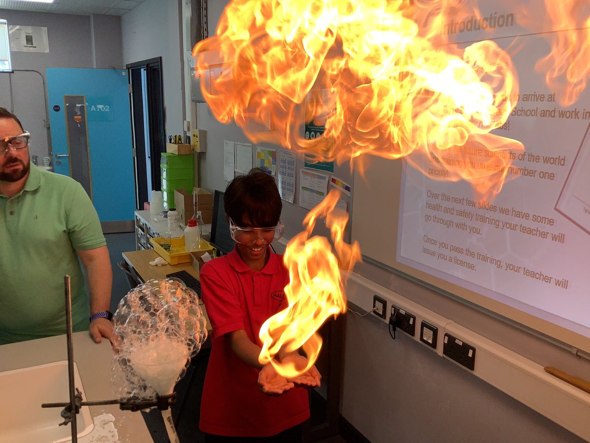 Halley Year5 tweet media