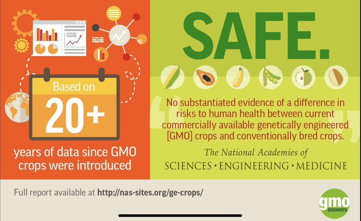 They said GM crops were not safe but, it turns out we got lied to...

GM crops are safe.
GM crops do not cause cancer.
GM crops do not cause allergies.
GM crops do not impact on bees.

Over 4400 risk assessments of GM crops, confirm there is no difference in risk from non-GM.