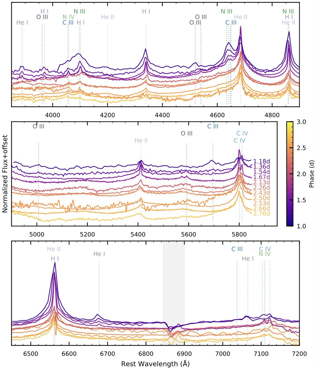 SN 2023ixf is an amazing opportunity to study a supernova interacting with material surrounding the progenitor star in exquisite detail. Check out how the spectra evolve within the first night with our incredible @azstewobs and DLT40 dataset! arxiv.org/abs/2306.10119