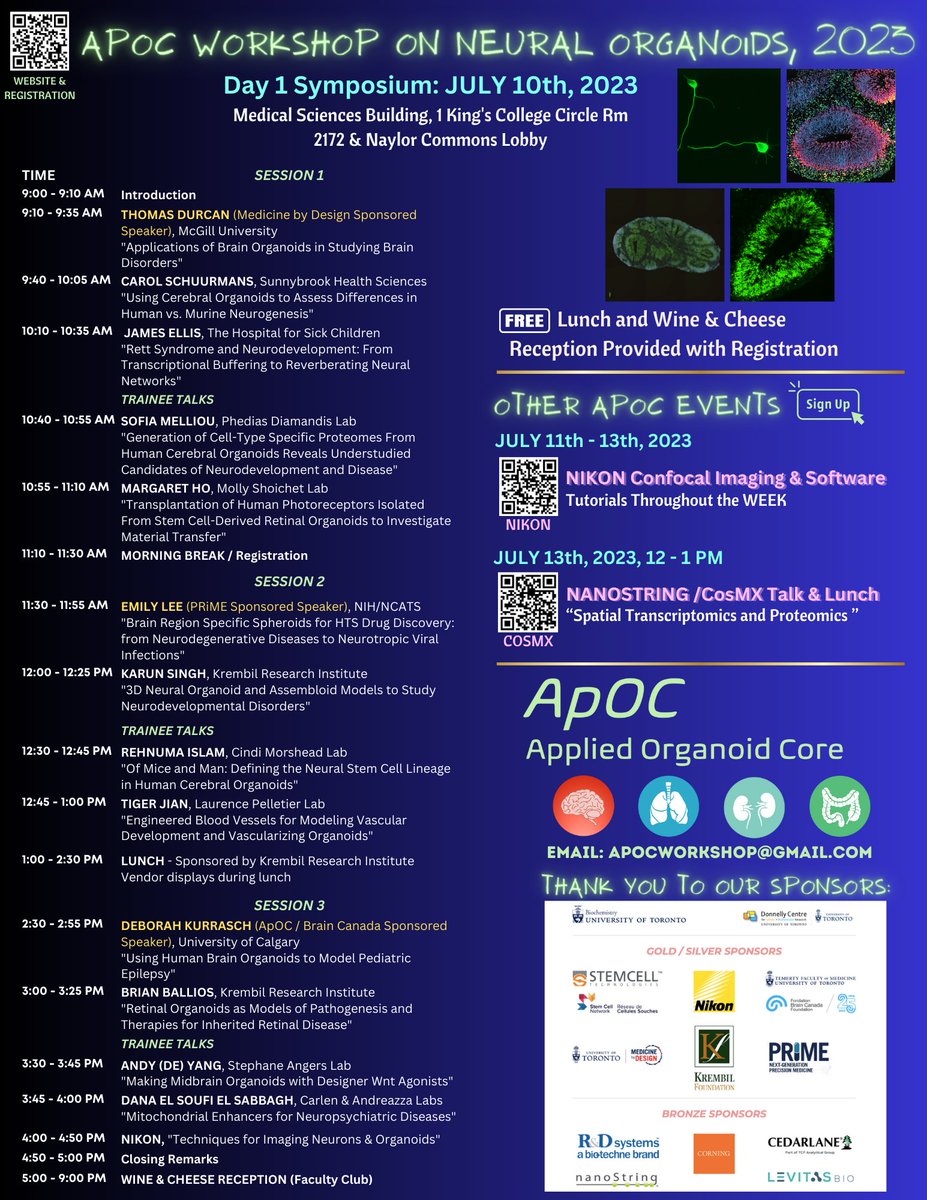 The Applied Organoid Core at <a href="/UofT/">University of Toronto</a> is hosting a workshop on the generation and application of neural #organoids on July 10-13.

Spaces still available for the Day 1 Symposium - registration is free, and includes a wine and cheese reception!

Learn more 👉 sites.google.com/view/apoc-orga…