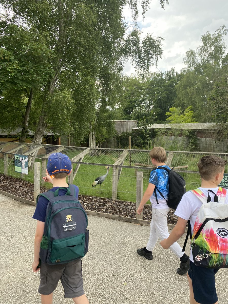 KPSyear5 tweet media