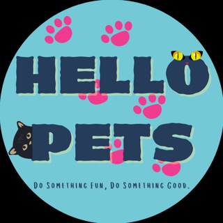 HelloPets | $PET

0x4B3bCA754704F5058EAfcEE41112160810F1Db02

👥 Holders: 4
💰 MC: $126.7K
💧 Liq: $117.3K

🟢 Looks safe! (this can change)
🔄 Buy/Sell Tax: 0/0

t.me/HelloPets

🔎 DYOR: Unverified link(s).

t.me/BSCNewPairs/25…