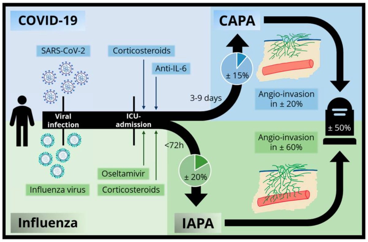 Amit Adlakha tweet media