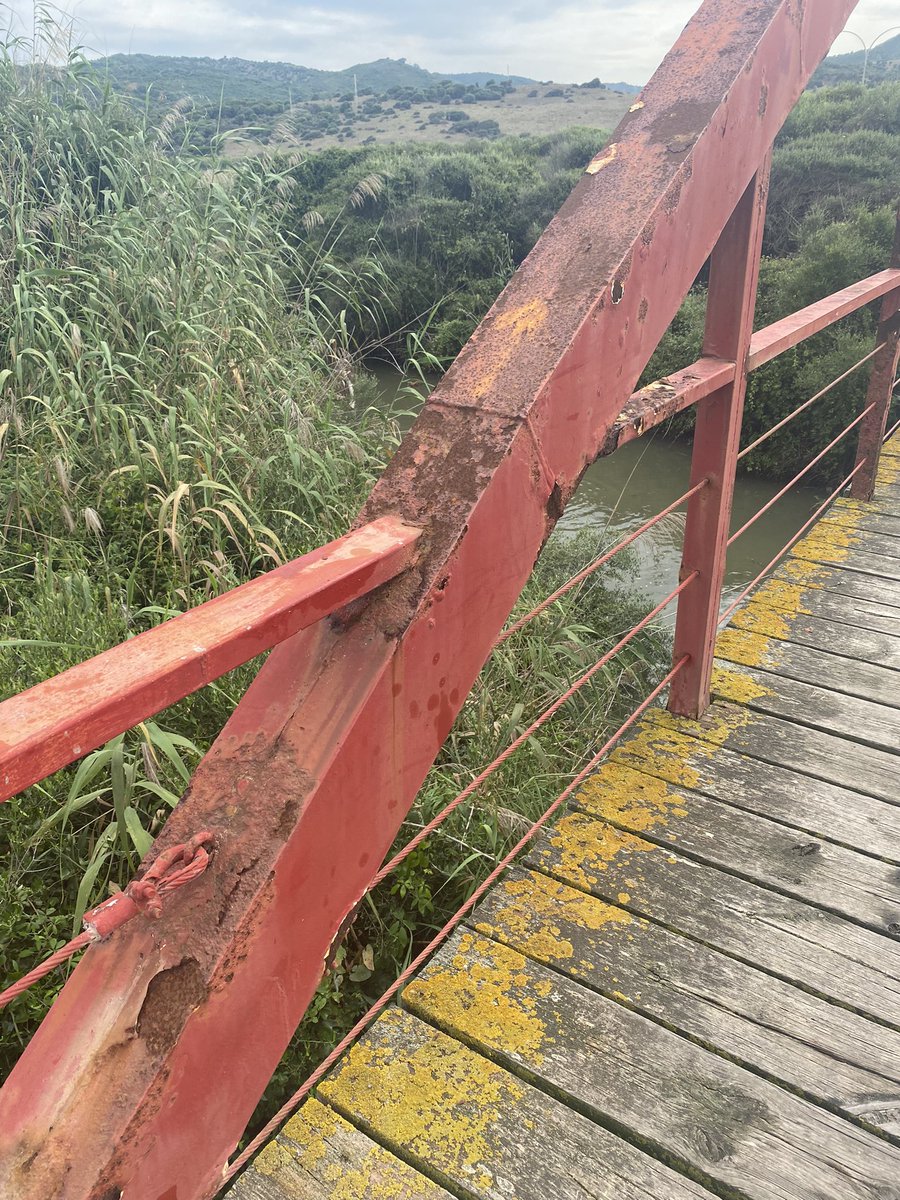 terefoll's tweet photo. @aytoalgeciras @jilandaluce @ppalgeciras este es el puente del rio Pícaro en Getares, que va a terminar cayendo… antes de eso puede que alguien termine llevándose la vacuna del tétanos si no algún sustillo mas… creo que urge solucionar esto…. Gracias!! https://t.co/i0vpn2uZX4