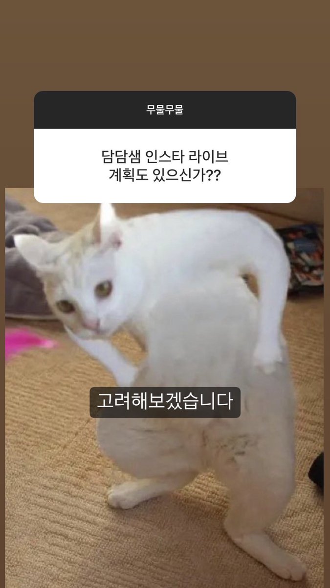 👤: damdam-saem Instagram yayını yapma gibi bir planın var mı???

🦊: Bunu düşüneceğim (dikkate alacağım)

Bak bir anda yaparsan ve kaçırırsam ağlarım biliyon di mi

cr. yedam_kr
#방예담 #BANGYEDAM