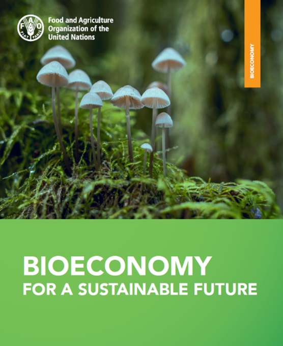 📖In just 8 pages, you can find out what #bioeconomy is and why it’s essential for #sustainable food and agriculture and our future 👉 bityl.co/I0mV #ForNature Via @FAOclimate