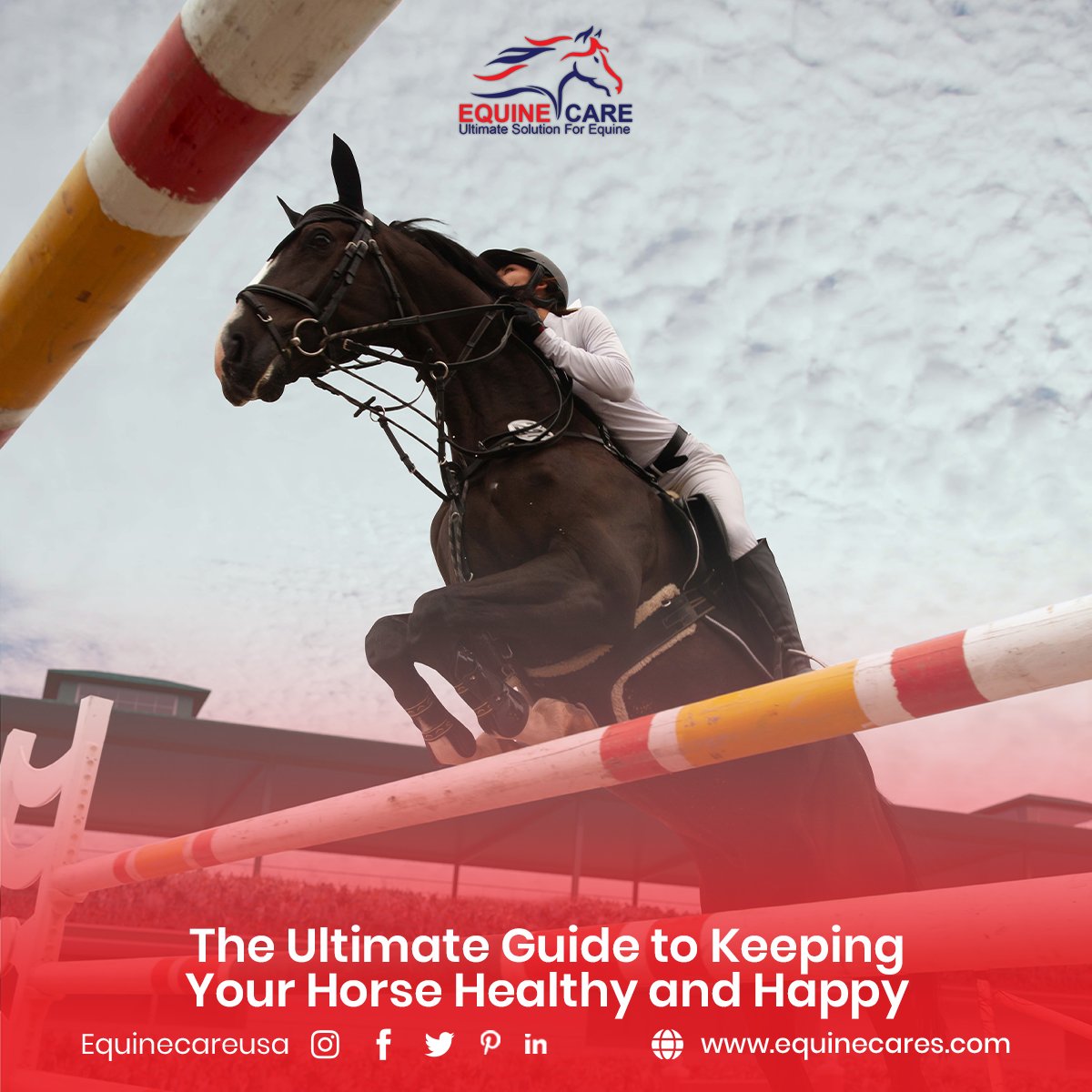 This ultimate guide will provide you with valuable tips and insights to ensure your horse thrives in every aspect of its life.  check this link : facebook.com/photo/?fbid=22… 
 
#HorseHealth #HorseCare #HappyHorse #EquineWellness #EquestrianLife