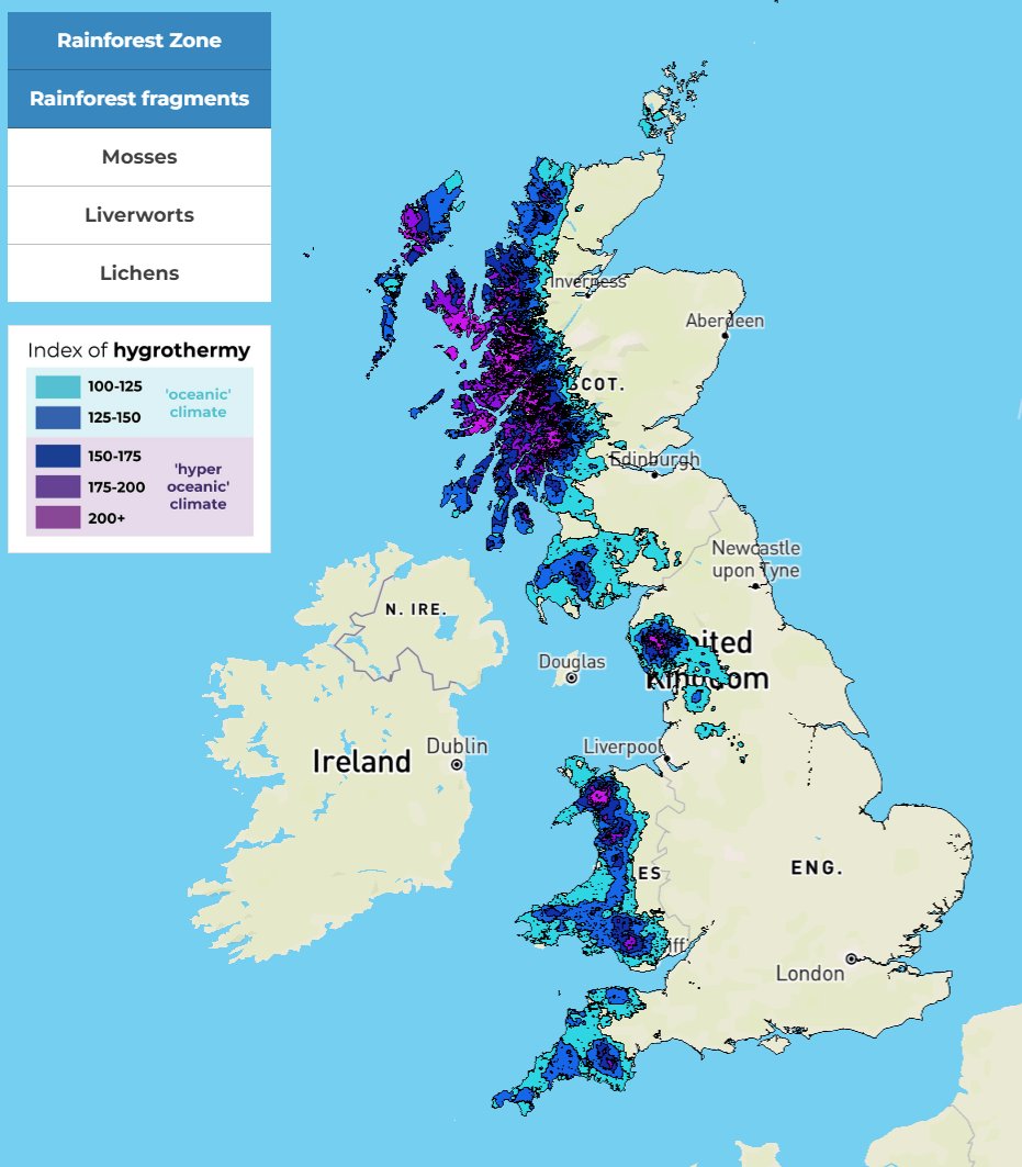 Seahorse Environmental tweet media