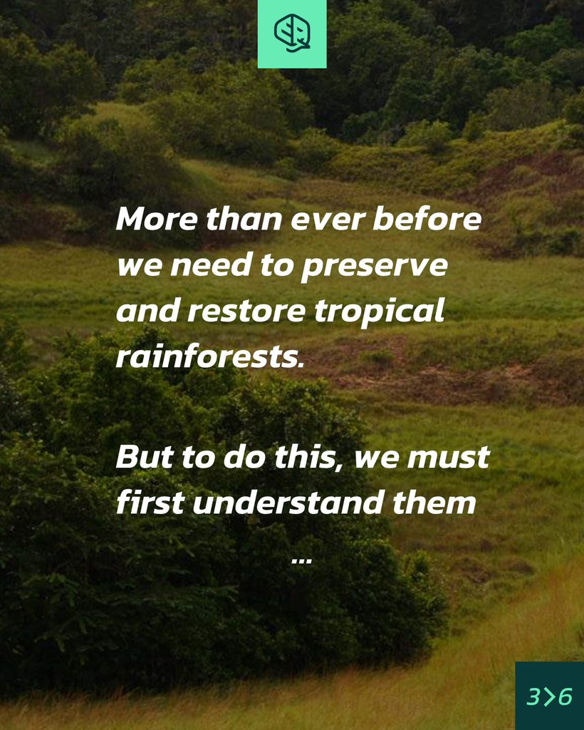 okala_io's tweet photo. Join us in celebrating World Rainforest Day 2023 today! #worldrainforestday2023 #worldrainforestday #rainforest #conservation #biodoveristy #technology #okala https://t.co/1M0BrVu8gt
