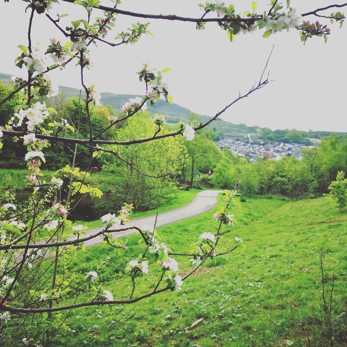 A picturesque peek at the Garw Valley! 😍

Wander through our valleys and you’ll find a warm Welsh welcome, from the people and the land! 🏴󠁧󠁢󠁷󠁬󠁳󠁿

📷 mariannecash (Instagram)

visitbridgend.co.uk/pages/the-vall…

#garwvalley #welshvalleys #nature #welshmountains #wales #welshlandscape