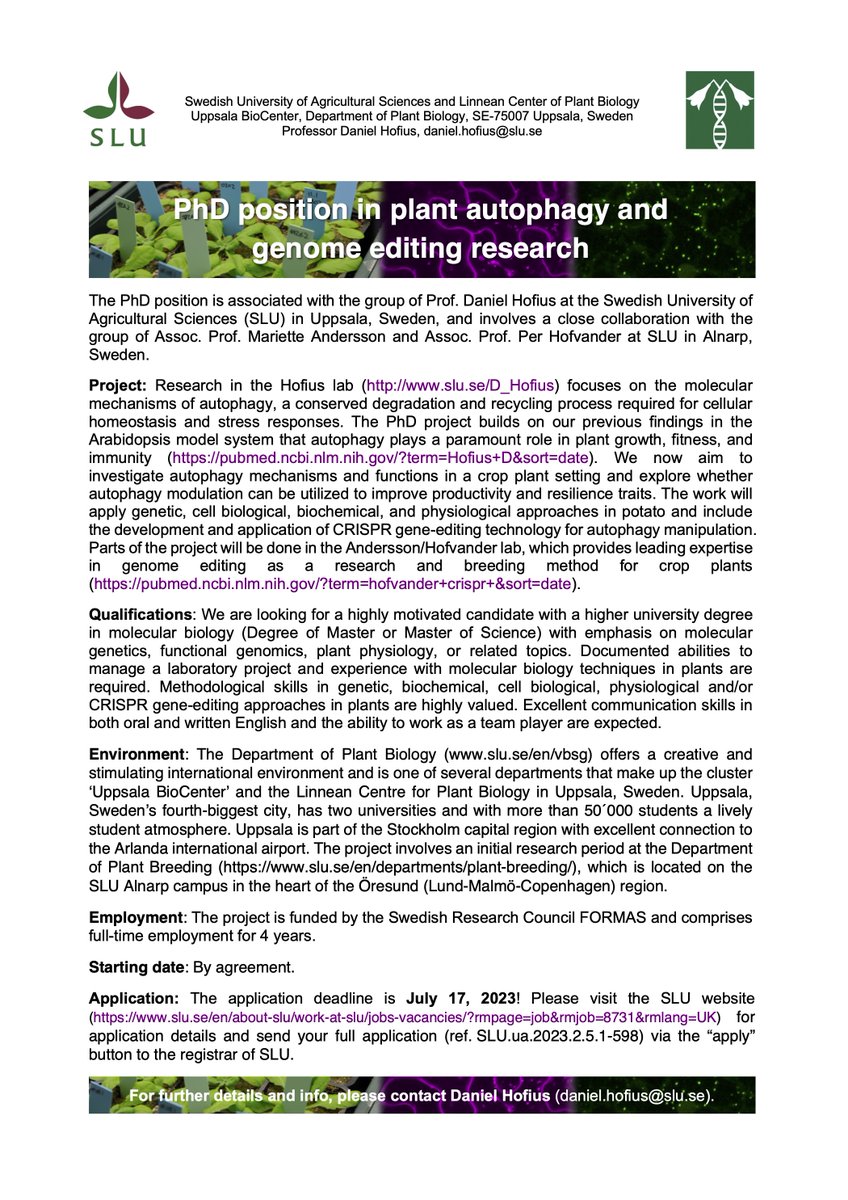 PhD position on plant autophagy and genome editing still open in my lab! If interested, please apply at slu.se/en/about-slu/w… until July 17. Please RT #PlantSciJobs #postdocjobs #sciencejobs #plants #Autophagy #CRISPR