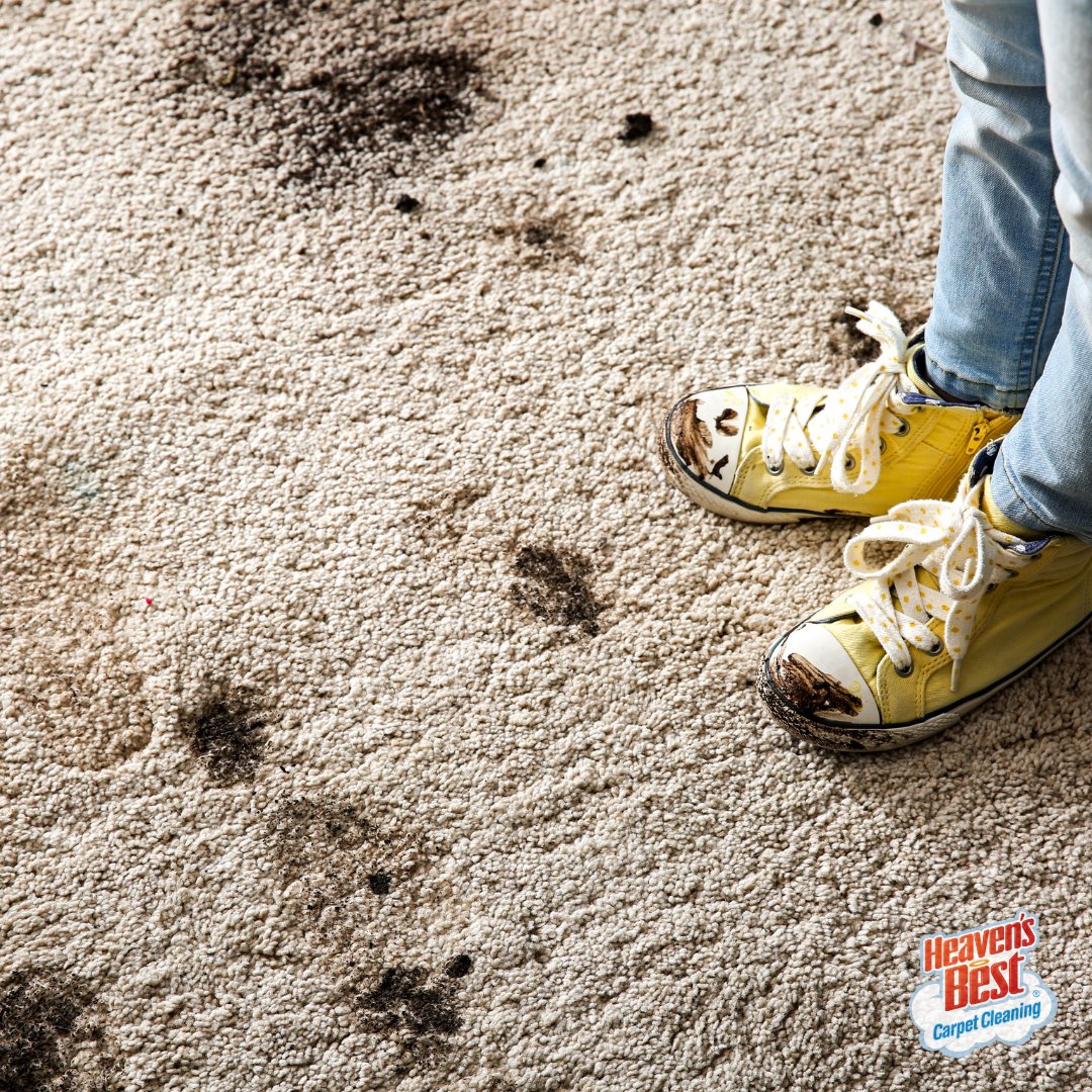 HB_ElkGrove's tweet photo. Don't let summer stains ruin your carpets - Heaven's Best has you covered! Book your cleaning with us today! ☀️

https://t.co/dudmDKNDki
#HeavensBest #CarpetCleaning #UpholsteryCleaning #AreaRugCleaning #CleaningServices #FloorCleaning #FloorCare #ElkGroveCA https://t.co/KecjPZ69J5