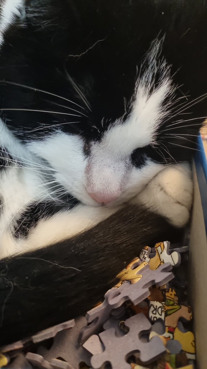 Ik kan geen stukjes meer pakken.