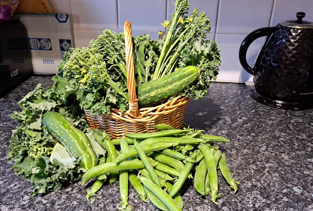 The rest of today's harvest!! Dinner sorted!! 😋💖🙌✨️🙏🥦🫛🍴

#allotment #allotmentuk  #allotmentgardening #allotmentlife #growyourownfood #firstallotment #greenhouse #offgridproject #offgridlife #growvegetables #growyourown #growfood