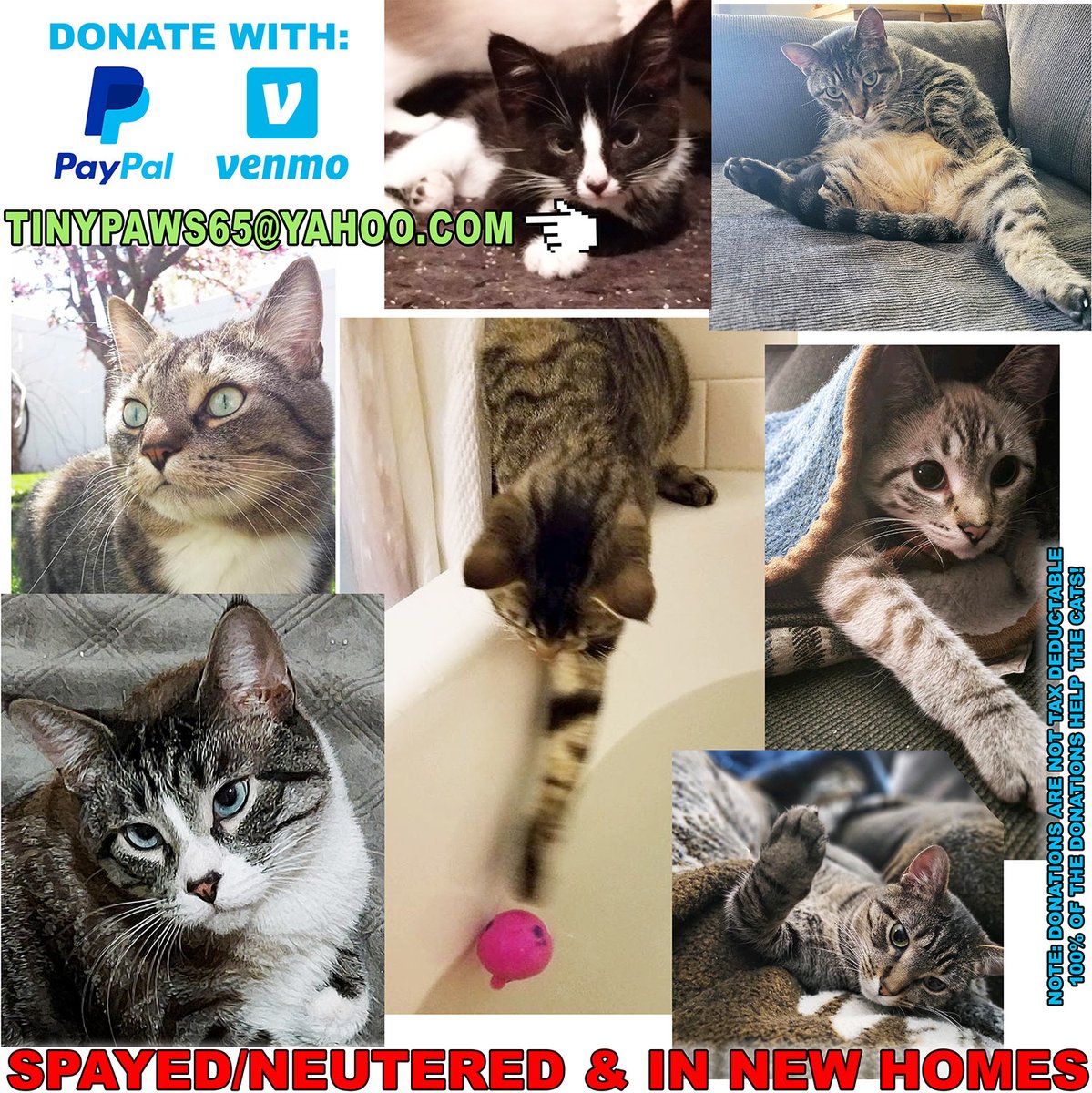 Freddie Williams II on Twitter "RT Freddieart My cousin cares for