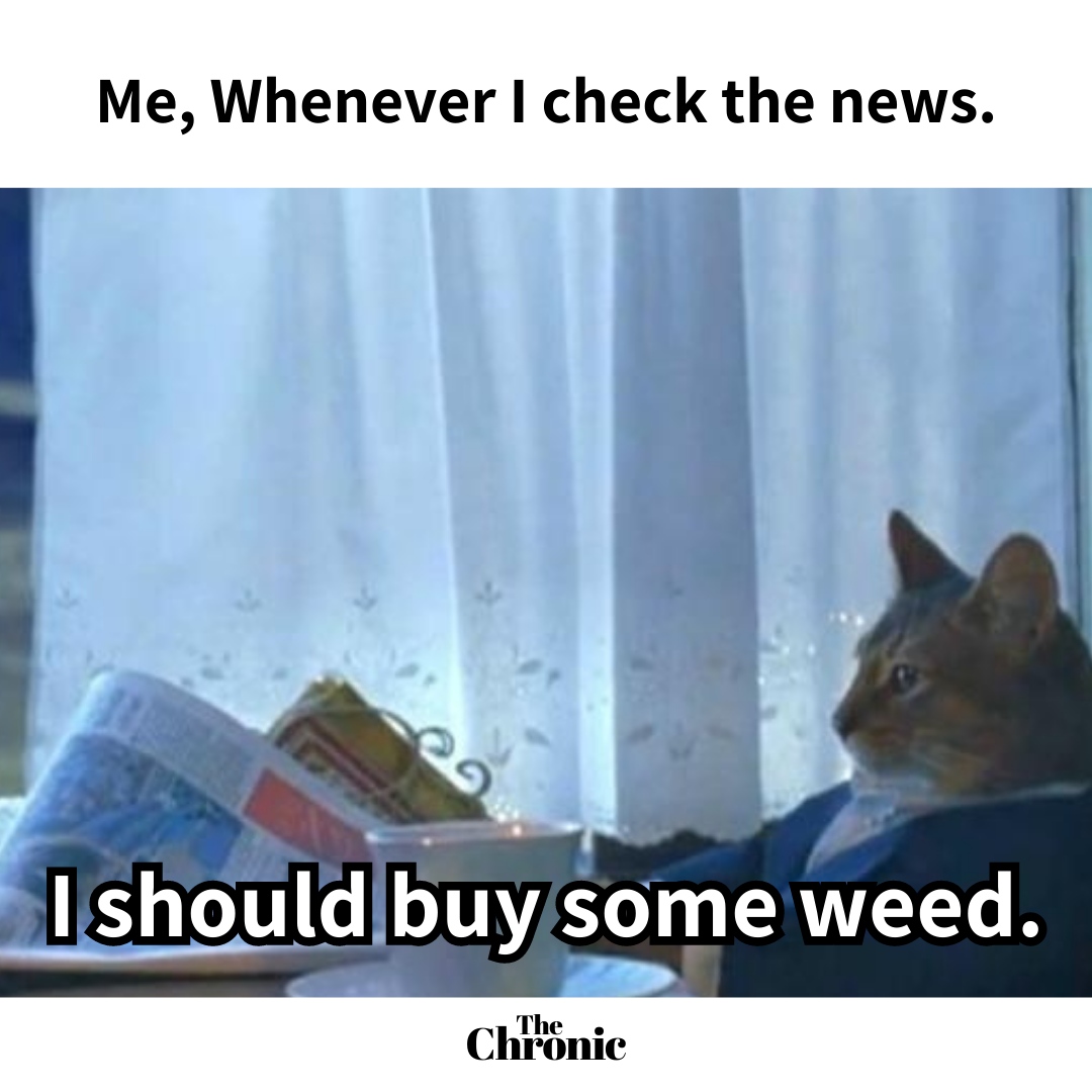 Ok bye! 🤣🤣
.⁠
.⁠
.⁠
#dailycannabis #cannabisculture #medicalcannabis #organiccannabis #cannabisnews #pot #weedpipe #weedmeme #weedhumor #legalizeit #cannabissociety #cannabiscures #weedcommunity#weedsmokers #weedlife #cbd #kush⁠ #dope #cannabiscommunity #cannabisismedicine