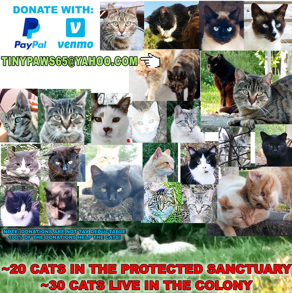 Freddie Williams II on Twitter "RT Freddieart My cousin cares for