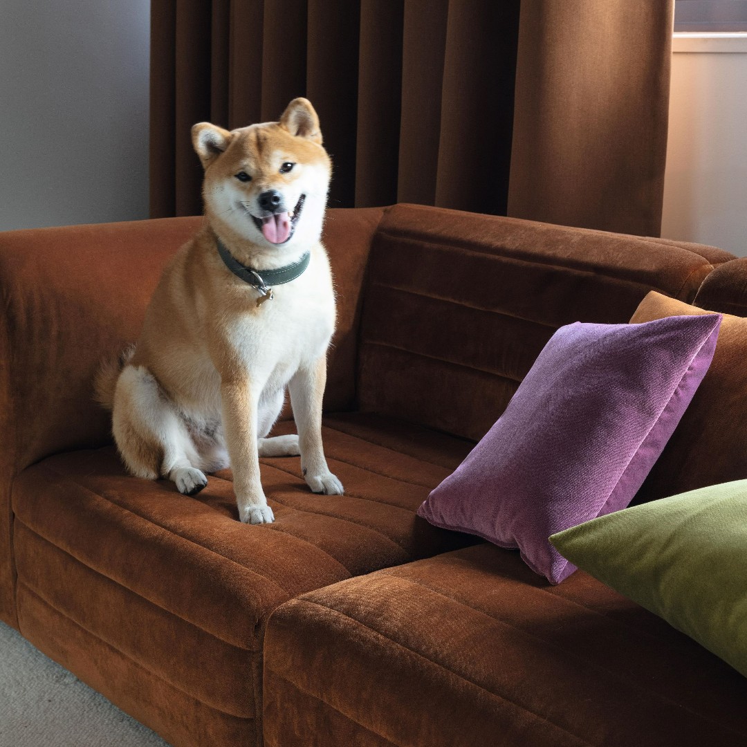 RIGA | A lush 100% polyester velvet for contract upholstery. Supplied with Crib 5 FR backing  &amp; Fibreguard to shield against the toughest  stains (including paw prints for pet-friendly projects🐾) With a Martindale of 100,000 rubs, Riga is practically indestructible 💪🏼#Fibreguard