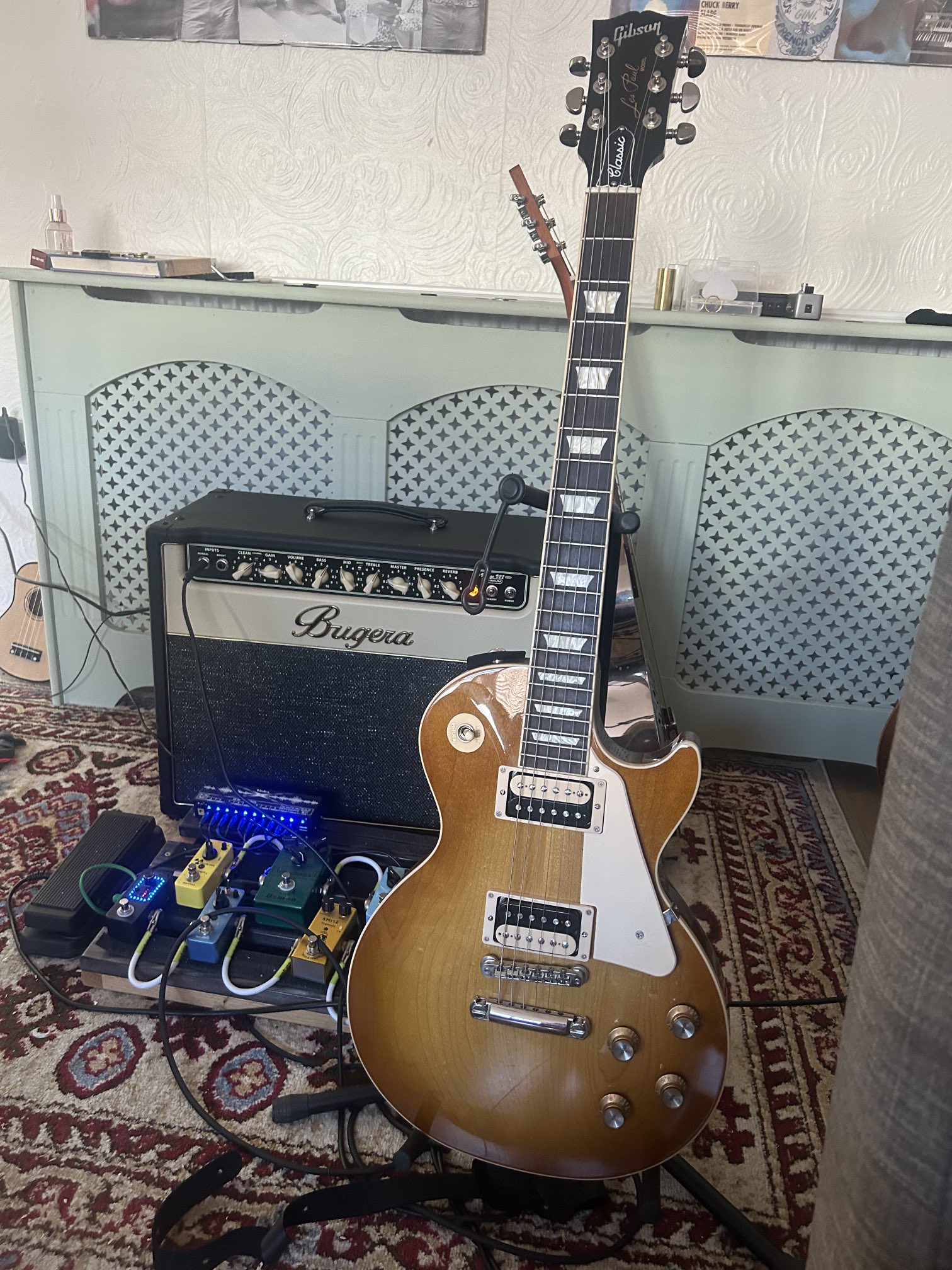 Les paul zebra pickups deals