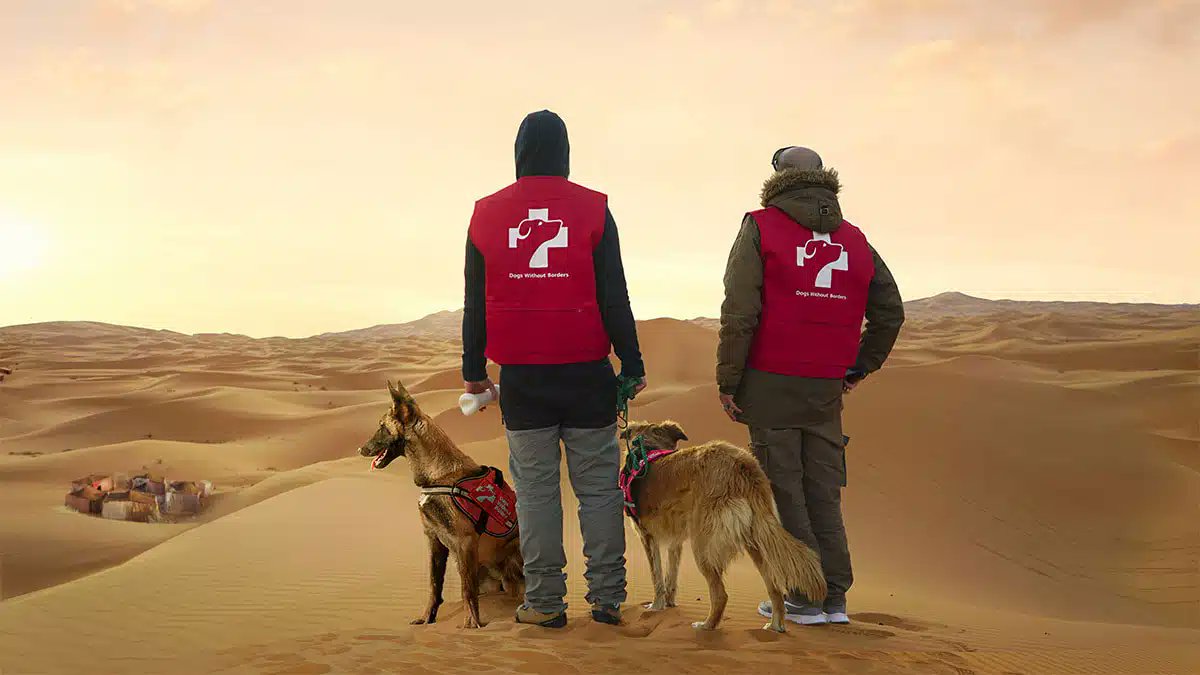 MarketingDirecto.com (@mkdirecto) on Twitter photo 🦁 España añade 7 leones más a su colección en #CannesLions2023 (y aglutina ya 32 premios)
👏 Enhorabuena a <a href="/leoburnett_es/">Leo Burnett Madrid</a>, @VMLYRSpain, <a href="/CheilSpain/">Cheil Spain</a> y <a href="/OgilvyES/">Ogilvy Spain</a>
marketingdirecto.com/especiales/can… 🦁 España añade 7 leones más a su colección en #CannesLions2023 (y aglutina ya 32 premios)
👏 Enhorabuena a <a href="/leoburnett_es/">Leo Burnett Madrid</a>, @VMLYRSpain, <a href="/CheilSpain/">Cheil Spain</a> y <a href="/OgilvyES/">Ogilvy Spain</a>
marketingdirecto.com/especiales/can…