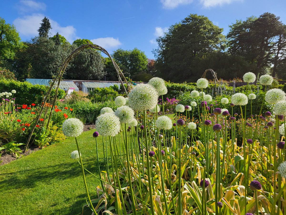 Steven Osborn tweet media