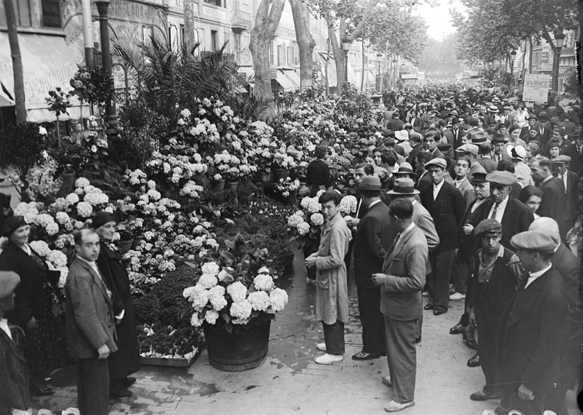historiesdebcn's tweet photo. Una tradició perduda: el concurs d'hortènsies i alfàbregues a la Rambla de les Flors, amb motiu de la revetlla de #SantJoan.
#minifil 👇
📷 Josep Maria Sagarra / ANC https://t.co/hGNgkUZypv