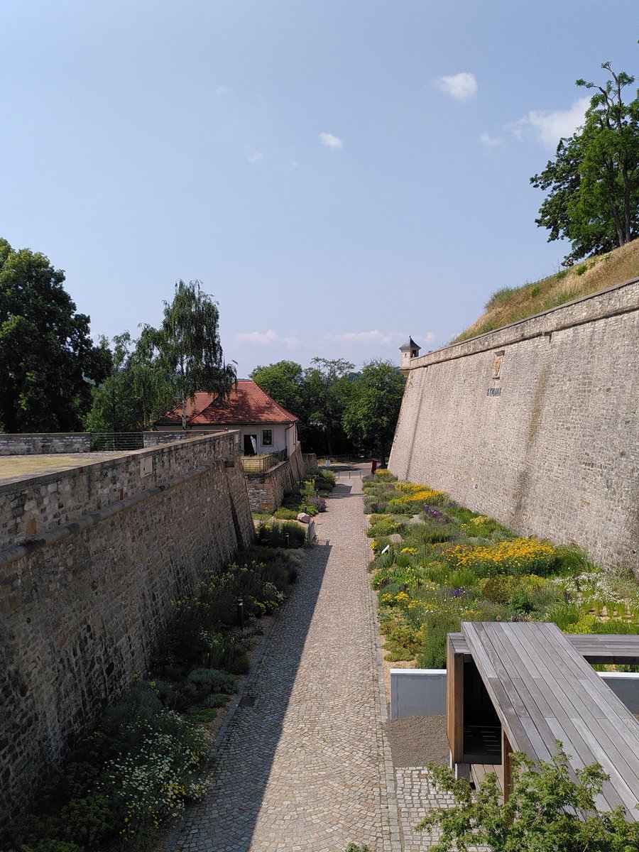 FritziEf99084's tweet photo. Das schöne Bild am Abend als herzliches Willkommen an alle  meine neuen Follower. Festung Petersberg, die im Rahmen der #buga2021 begrünt wurde. #Erfurt ist toll , Erfurter sind wunderbare, gastfreundliche Menschen. Besucht uns! #wirsindmehr https://t.co/wwTAxQSIXT