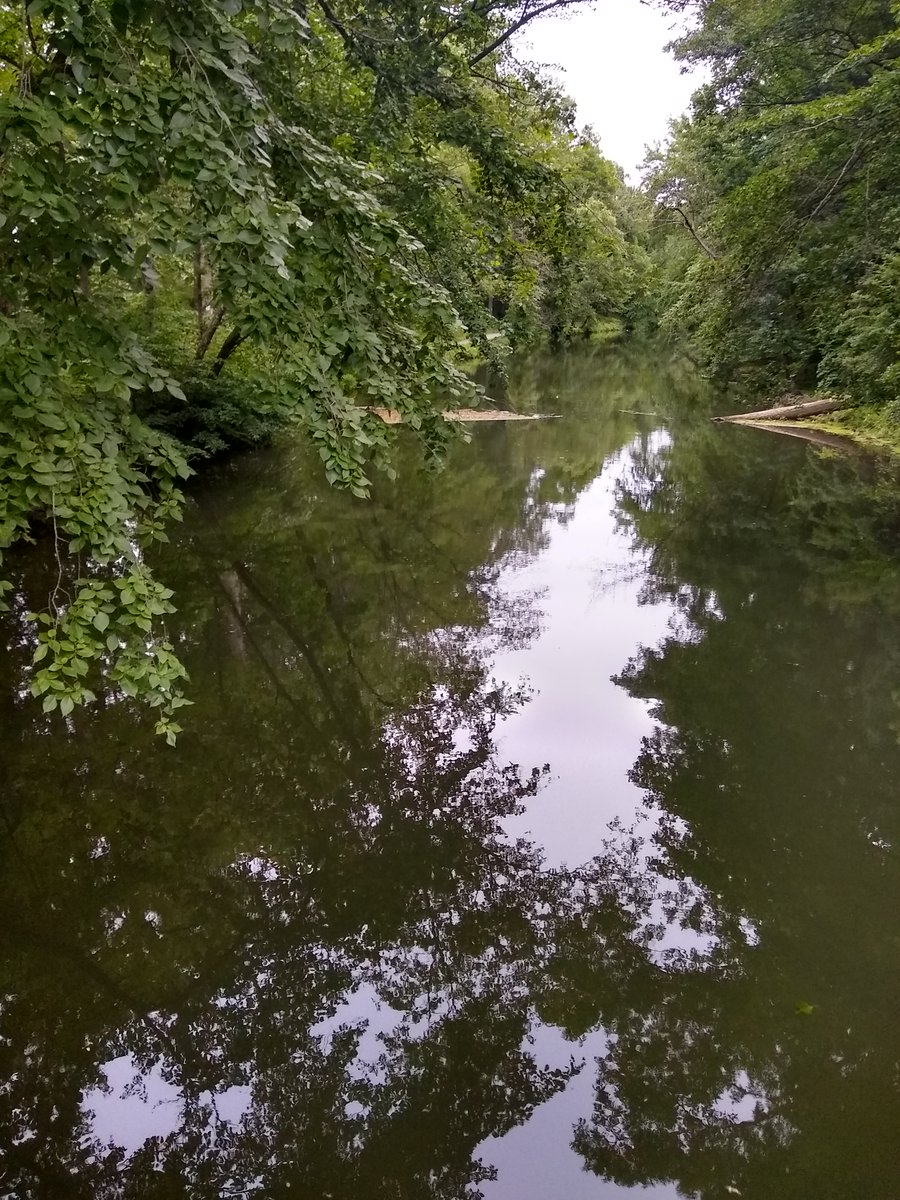 mixotrophe's tweet image. What a great, amazingly productive week at @NOAA_GFDL! Thank you for hosting us @jesscayluo. Next up -- coding mixotrophy into #COBALT in #Fortran the #LanguageoftheFuture. #figaday 2.39/n #year2