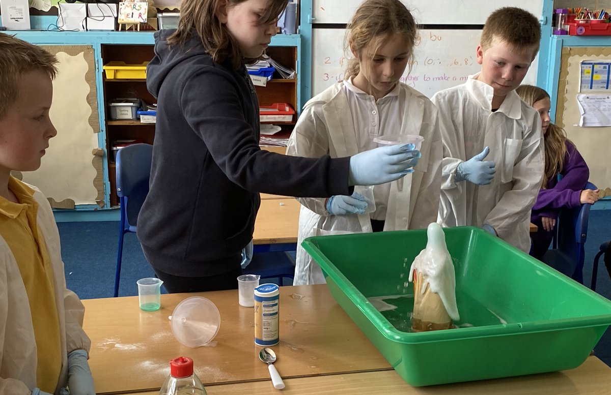 WPS Mrs M tweet media